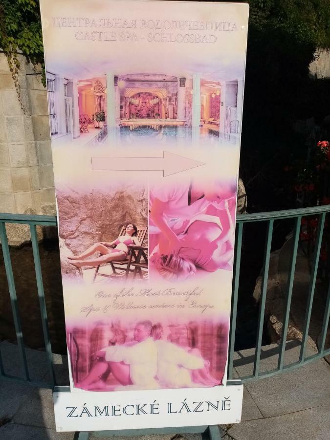 Apartmán Orchidej u Vřídla Karlovy Vary Exteriér fotografie