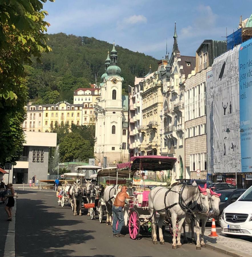 Apartmán Orchidej u Vřídla Karlovy Vary Exteriér fotografie